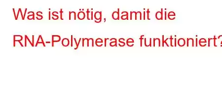 Was ist nötig, damit die RNA-Polymerase funktioniert