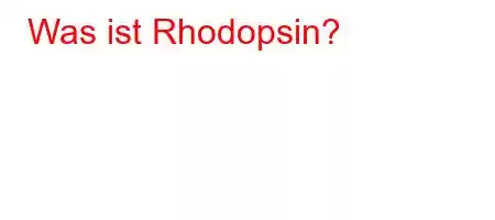 Was ist Rhodopsin