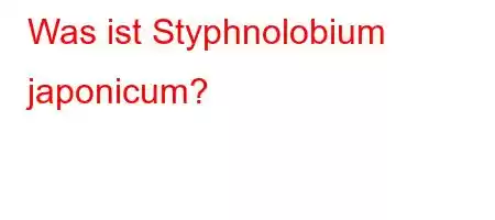 Was ist Styphnolobium japonicum?