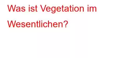 Was ist Vegetation im Wesentlichen?