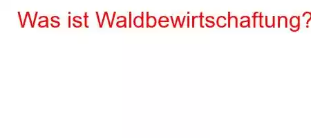 Was ist Waldbewirtschaftung?