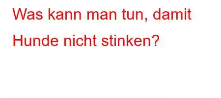 Was kann man tun, damit Hunde nicht stinken?