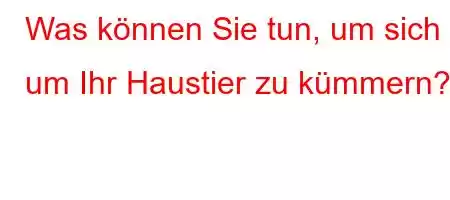 Was können Sie tun, um sich um Ihr Haustier zu kümmern