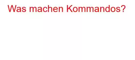 Was machen Kommandos