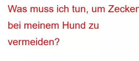 Was muss ich tun, um Zecken bei meinem Hund zu vermeiden