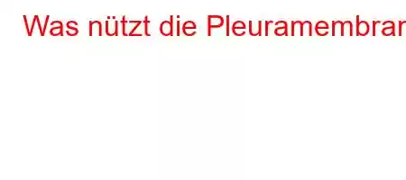 Was nützt die Pleuramembran?