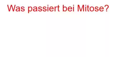 Was passiert bei Mitose