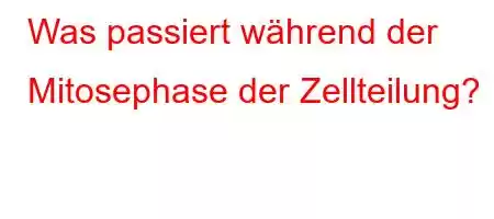 Was passiert während der Mitosephase der Zellteilung