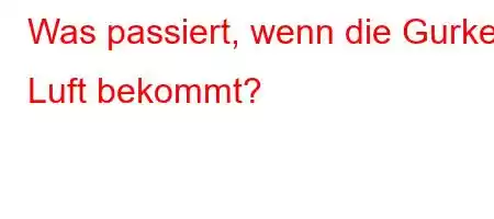 Was passiert, wenn die Gurke Luft bekommt