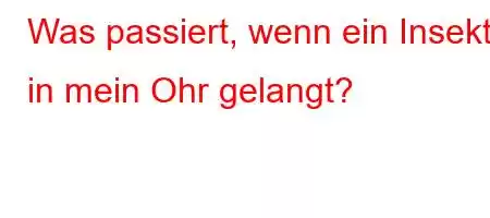 Was passiert, wenn ein Insekt in mein Ohr gelangt?