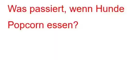 Was passiert, wenn Hunde Popcorn essen