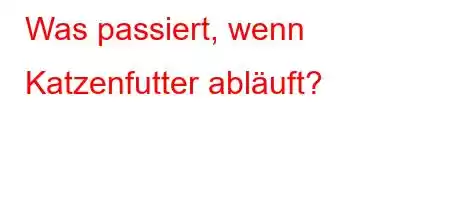 Was passiert, wenn Katzenfutter abläuft?