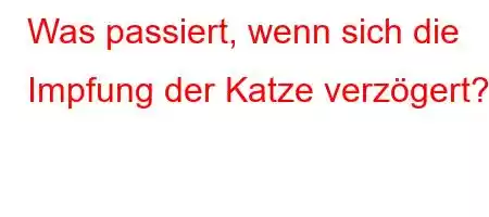 Was passiert, wenn sich die Impfung der Katze verzögert