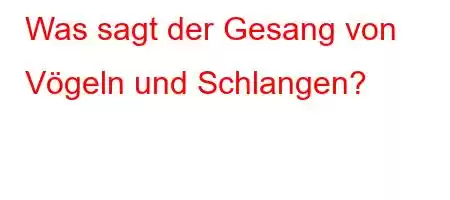 Was sagt der Gesang von Vögeln und Schlangen?