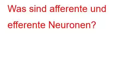 Was sind afferente und efferente Neuronen