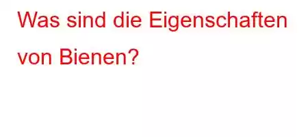 Was sind die Eigenschaften von Bienen?