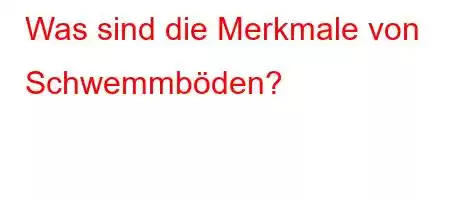 Was sind die Merkmale von Schwemmböden?