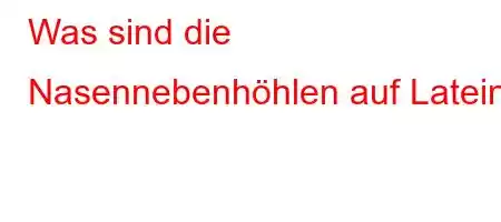 Was sind die Nasennebenhöhlen auf Latein