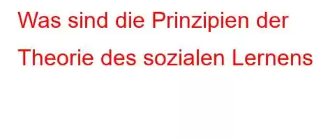 Was sind die Prinzipien der Theorie des sozialen Lernens