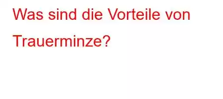 Was sind die Vorteile von Trauerminze?