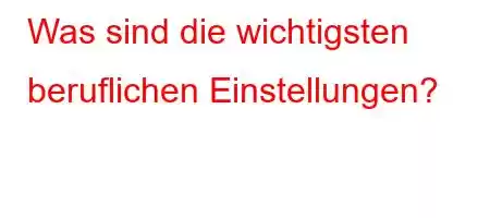 Was sind die wichtigsten beruflichen Einstellungen