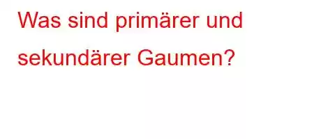 Was sind primärer und sekundärer Gaumen