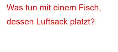 Was tun mit einem Fisch, dessen Luftsack platzt