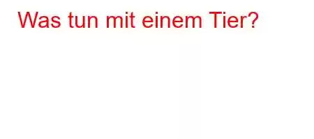 Was tun mit einem Tier?