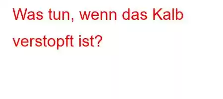 Was tun, wenn das Kalb verstopft ist?