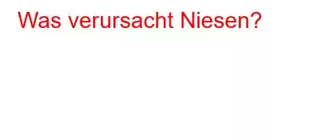 Was verursacht Niesen?