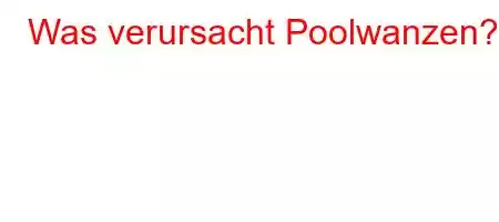 Was verursacht Poolwanzen?