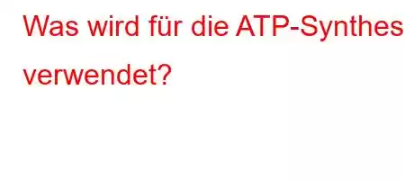 Was wird für die ATP-Synthese verwendet?