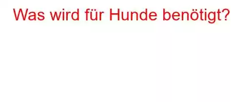 Was wird für Hunde benötigt