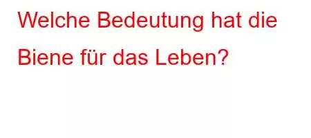 Welche Bedeutung hat die Biene für das Leben?