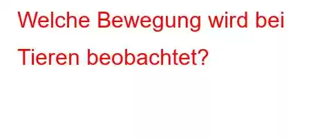 Welche Bewegung wird bei Tieren beobachtet?