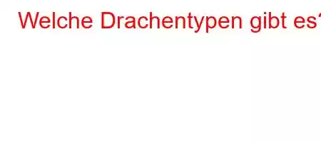 Welche Drachentypen gibt es?