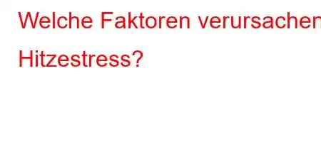 Welche Faktoren verursachen Hitzestress?