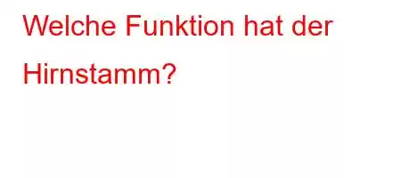 Welche Funktion hat der Hirnstamm?