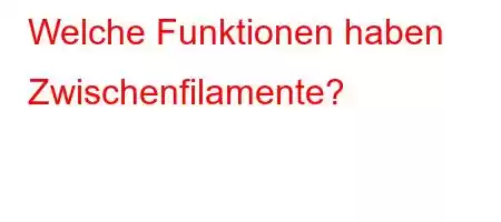 Welche Funktionen haben Zwischenfilamente