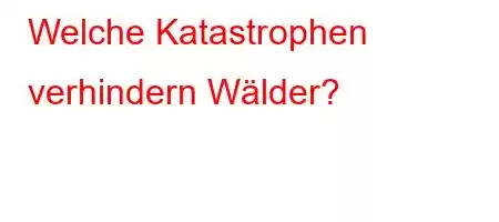 Welche Katastrophen verhindern Wälder