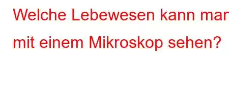 Welche Lebewesen kann man mit einem Mikroskop sehen?