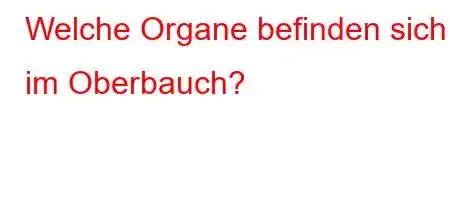 Welche Organe befinden sich im Oberbauch?