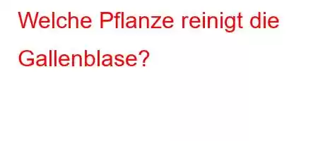 Welche Pflanze reinigt die Gallenblase