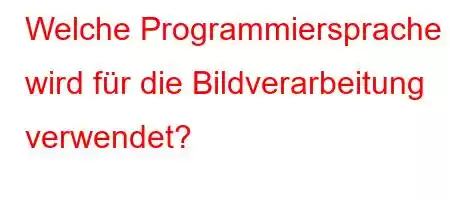 Welche Programmiersprache wird für die Bildverarbeitung verwendet?