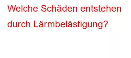 Welche Schäden entstehen durch Lärmbelästigung?