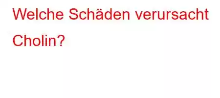 Welche Schäden verursacht Cholin?