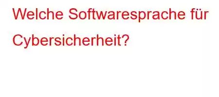 Welche Softwaresprache für Cybersicherheit?