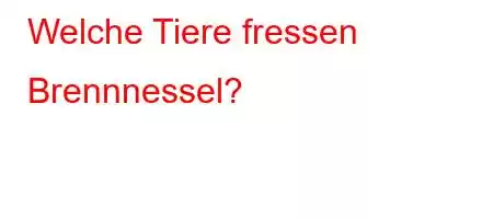 Welche Tiere fressen Brennnessel