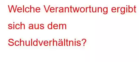 Welche Verantwortung ergibt sich aus dem Schuldverhältnis?