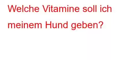 Welche Vitamine soll ich meinem Hund geben?